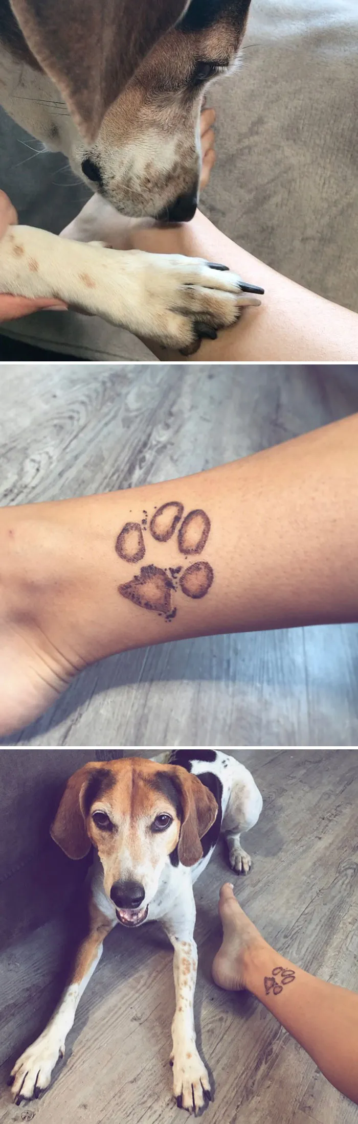Forever Paw Print