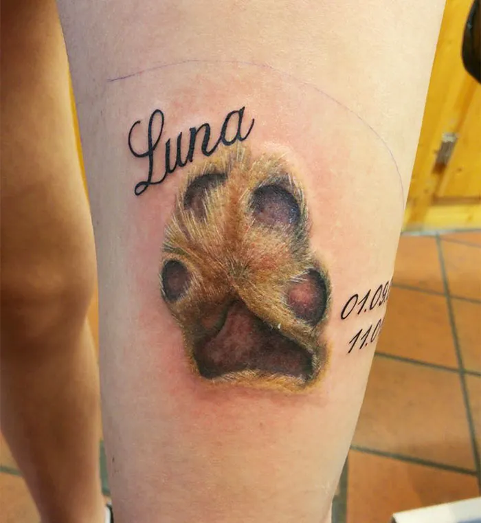 Fur-ever Remembered