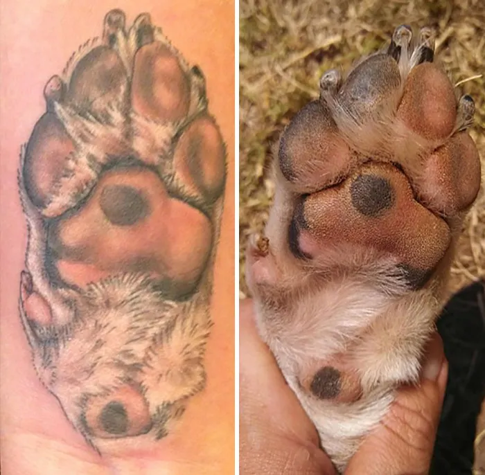 Paw-sitively Perfect Match