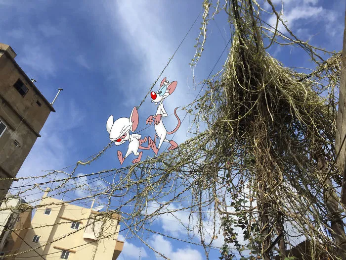 Pinky And The Brain (Beirut, Lebanon)