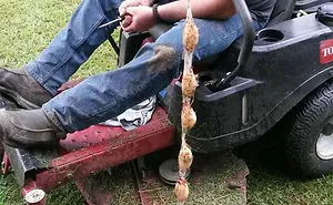 57 Times People Had No Idea What They Were Looking At, But The Internet Knew What It Was Right Away