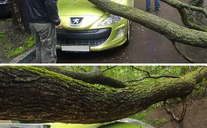 109 One In A Million Coincidences That Are Hard To Believe Have Actually Happened