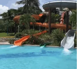 Man Slides Into Pool But Never Swims