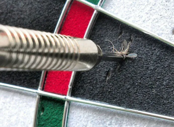 Mosquito muerto tras acertarle el dardo