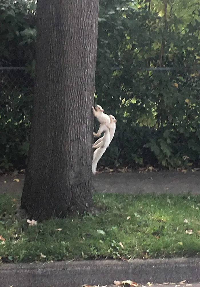 My Friend Captured Possibly The Rarest Thing That's Ever Happened
