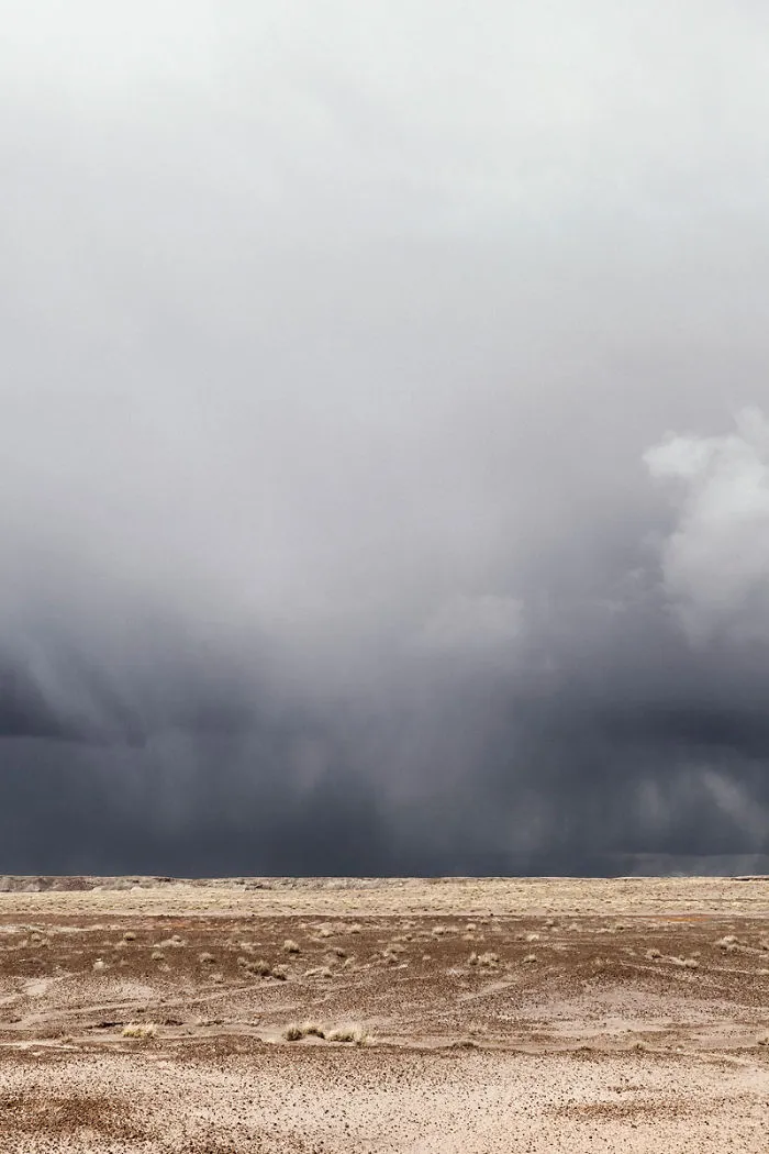 Petrified Forest Landscape, Les Nuages Gris (2017)