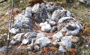 42 Times Nature Made Us Say NOPE" (WARNING: This List Might Be Too Scary For You)"
