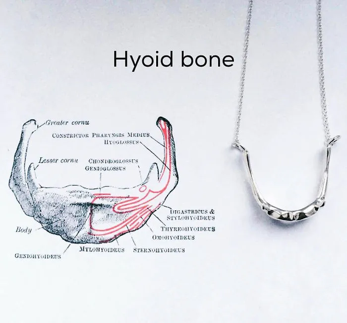 Tangue Bone