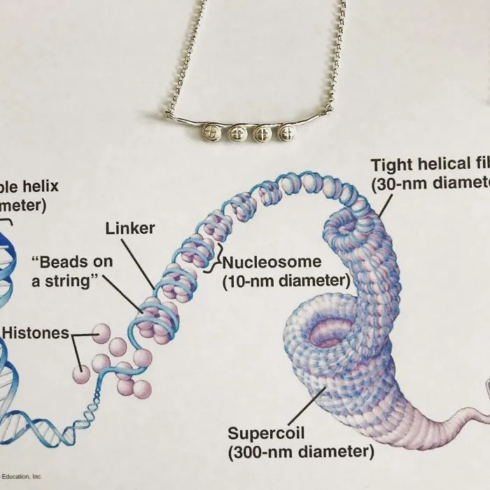Ribosomes Necklace