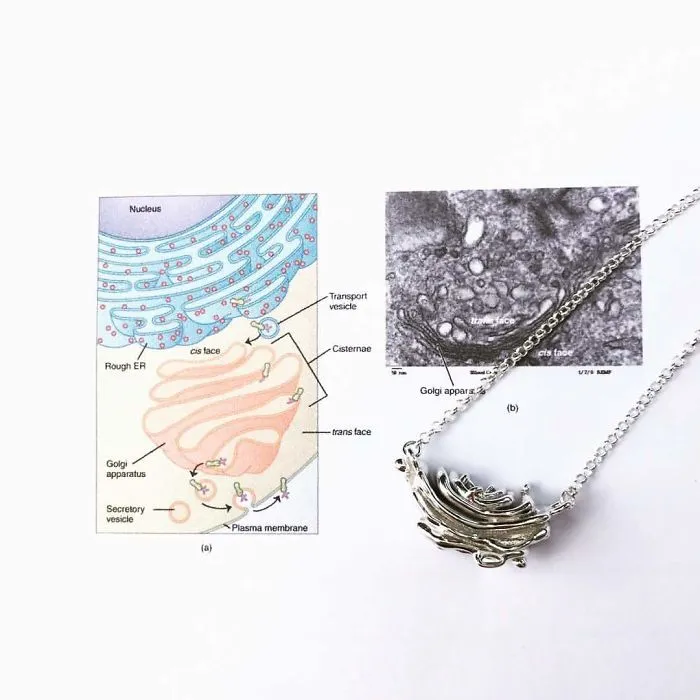 Golgi Apparatus Necklace
