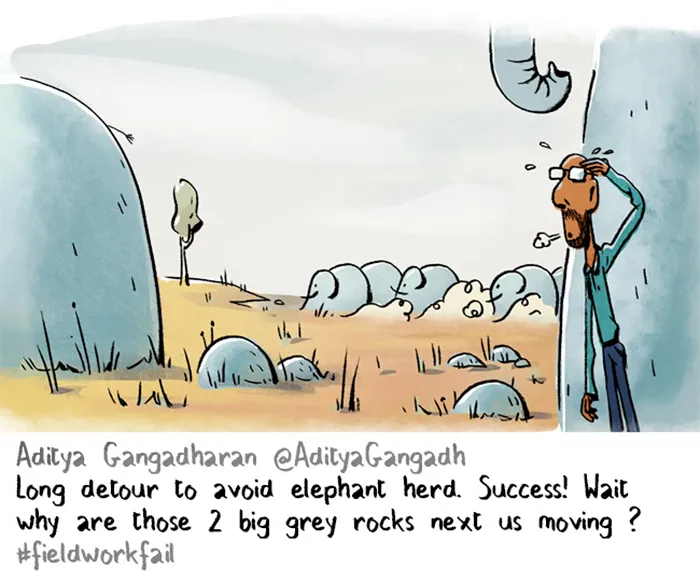 26 Scientists Reveal Their Most Embarrassing Fieldwork Fails, And It’s Hilarious