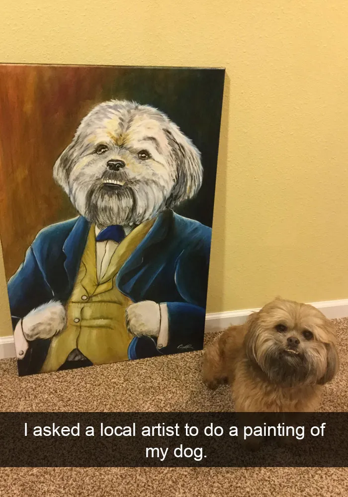 72 Spoiled Dogs That Live Better Than You Ever Will