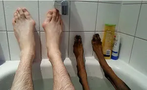 72 Spoiled Dogs That Live Better Than You Ever Will