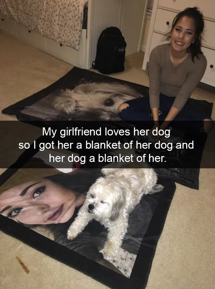 72 Spoiled Dogs That Live Better Than You Ever Will
