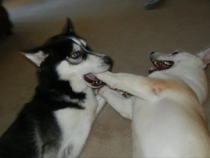 Inside-Throat Punch