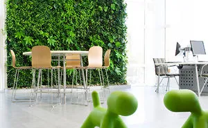 Living Green Walls Increase Employee Productivity By 15%