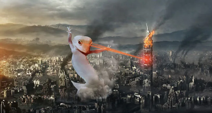 Gekozilla