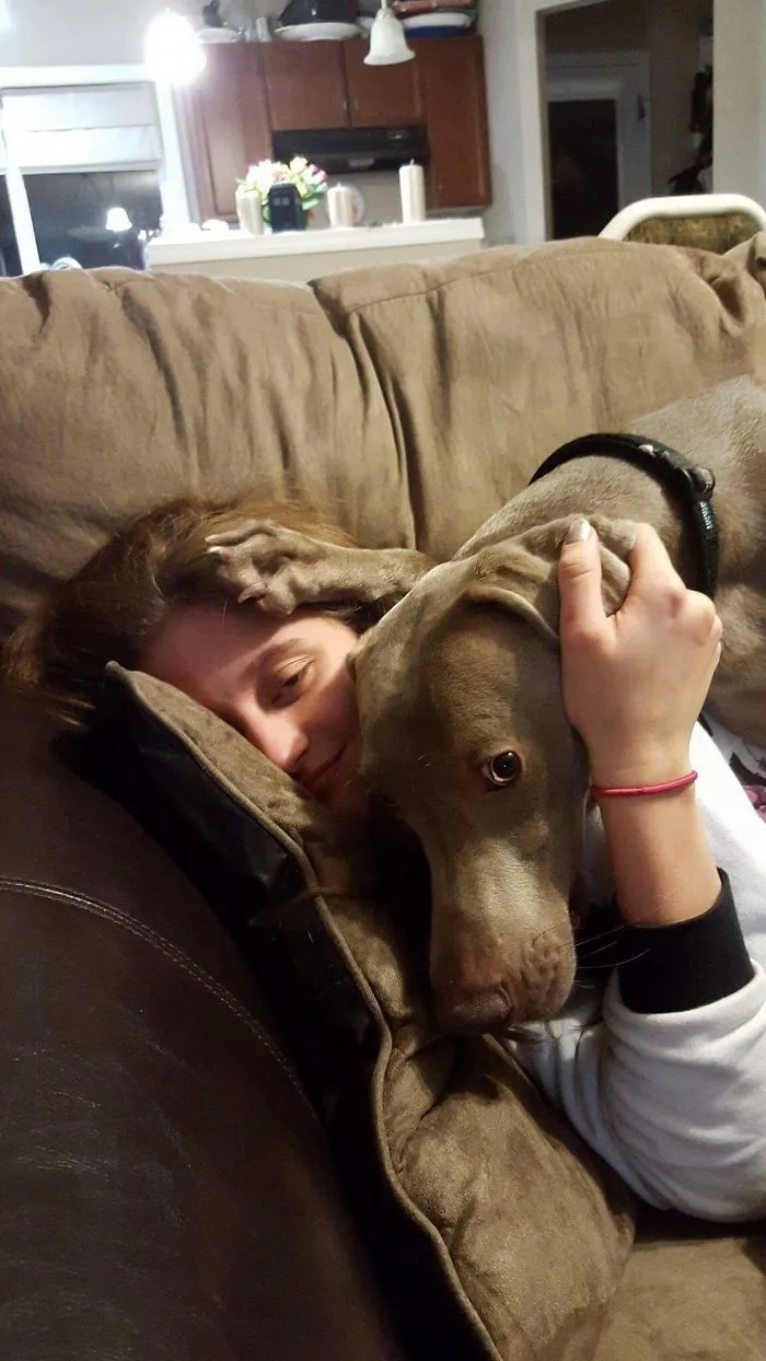 Not Allowed To Watch Tv Without Him Touching Me