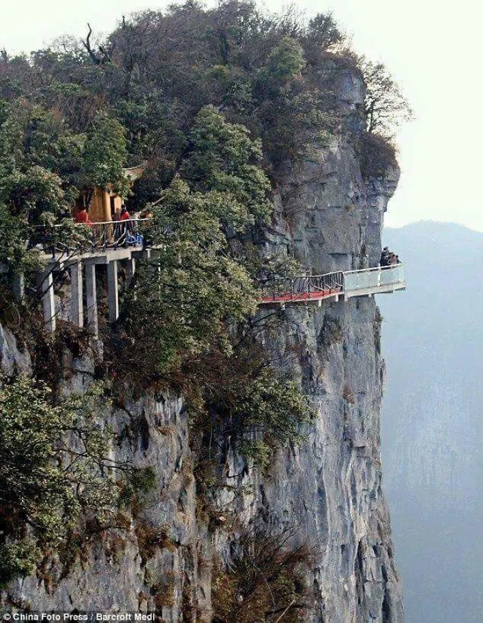 Amazing World Roads