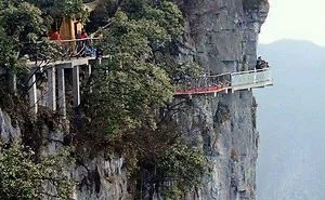 Amazing World Roads