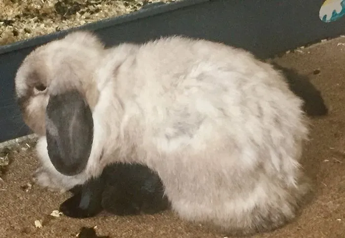 The Black Thing Is His Brother’s Head!