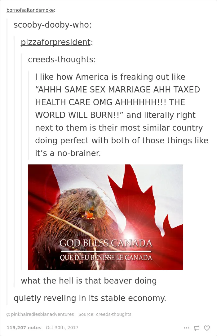 25 Times Canada Roasted America So Well You Can't Even Be Mad