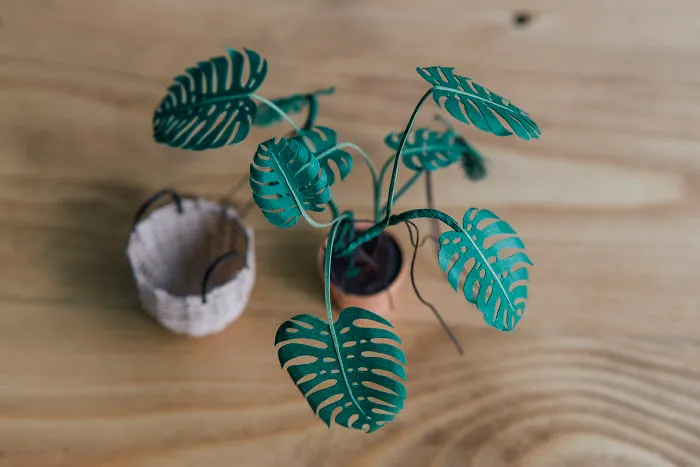 Miniature Paper Plants That Take Me Up To 20 Hours To Create