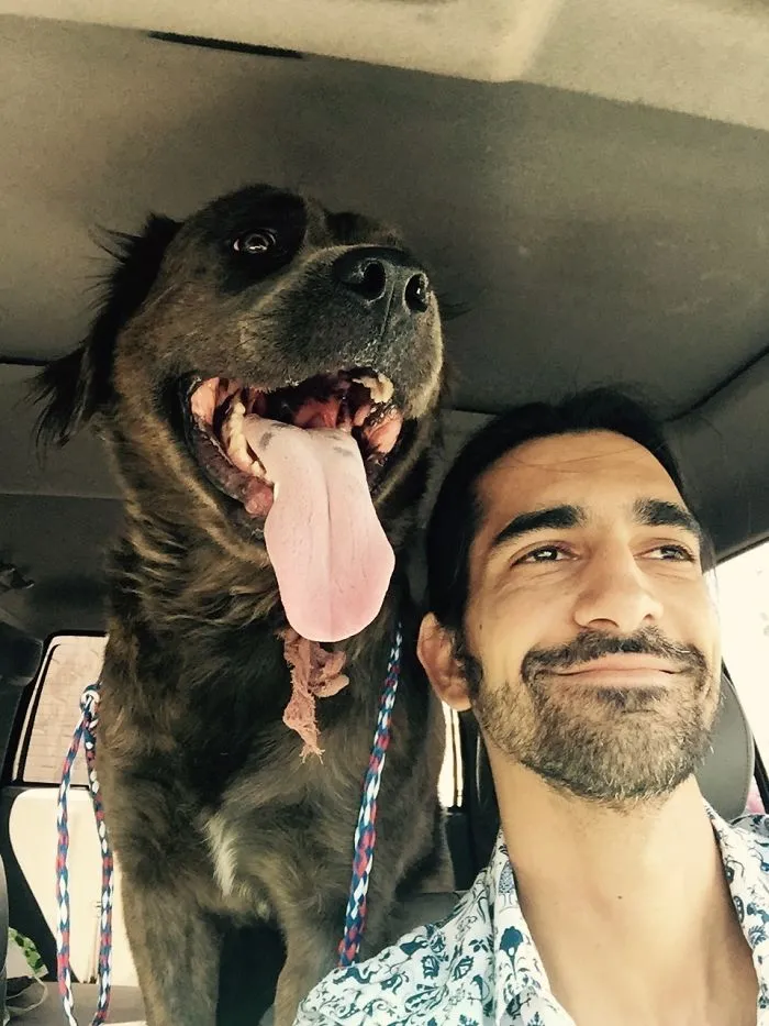Fui a adoptar un perro y adopté un oso