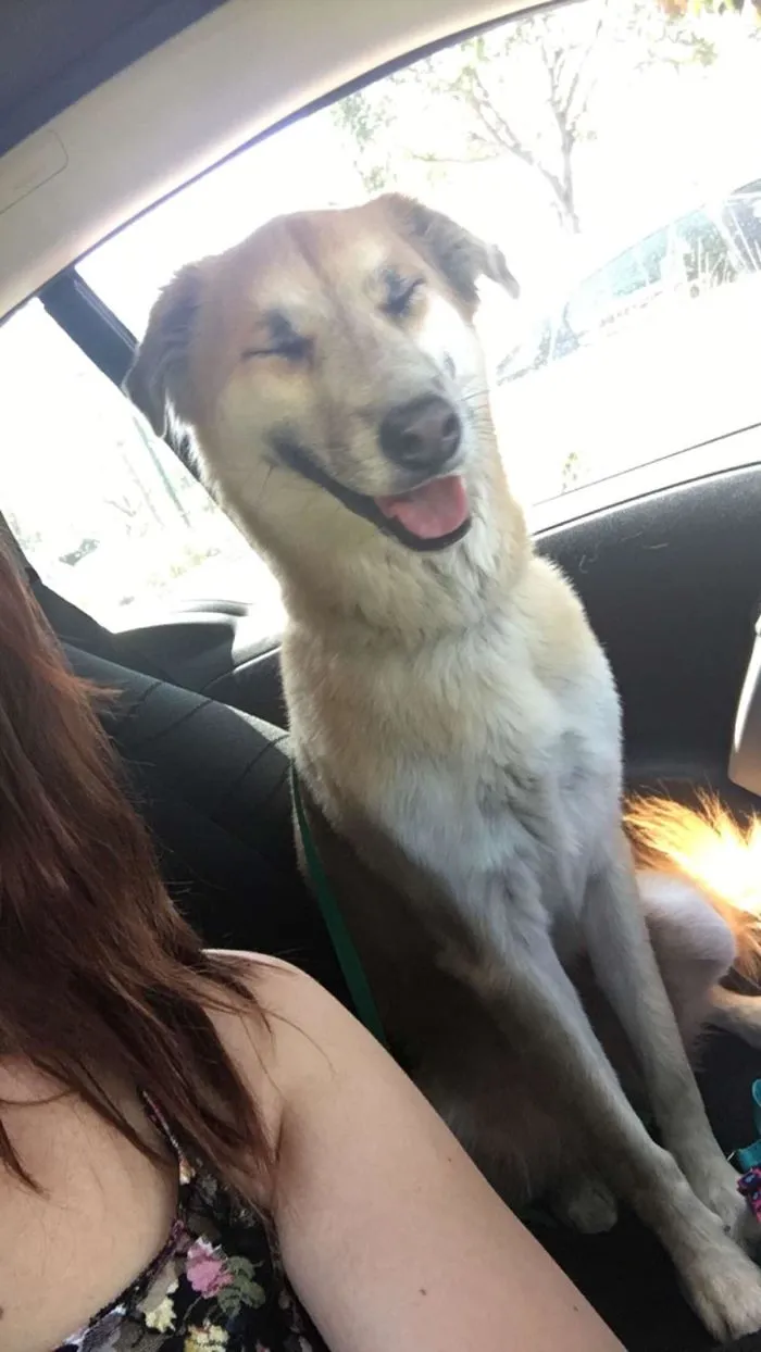 Se llama Toffee y lo adoptamos hoy