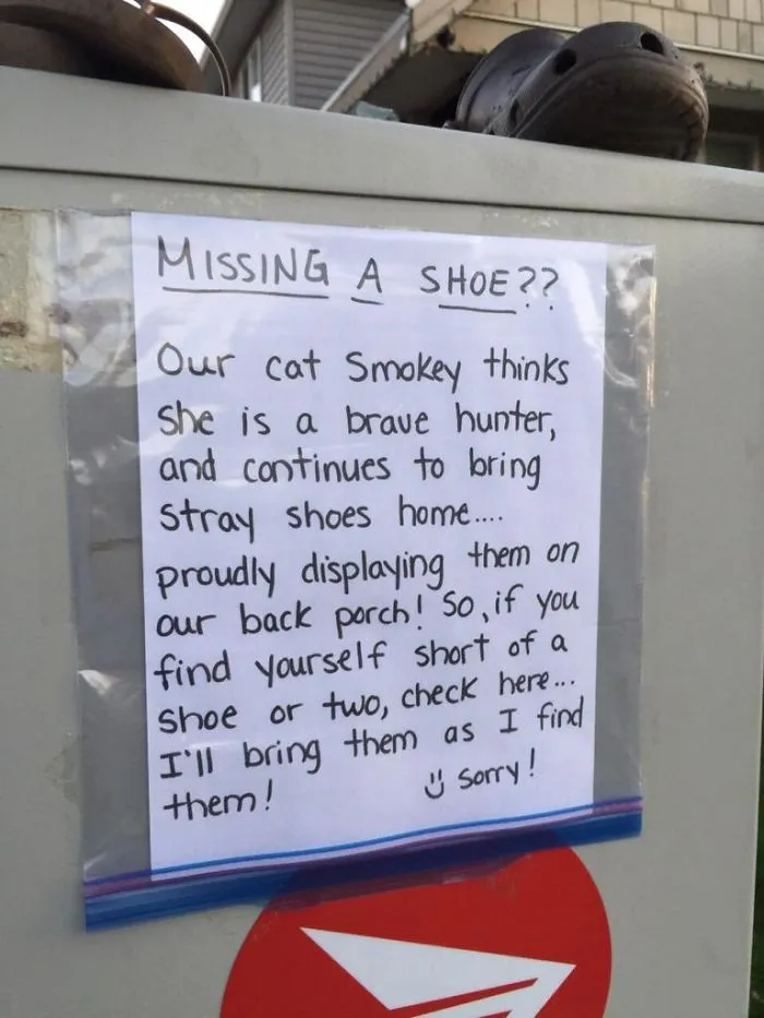 This Cat In My Neighbourhood
