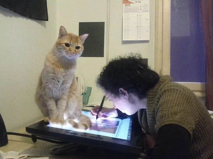 My Cat Is An Asshole