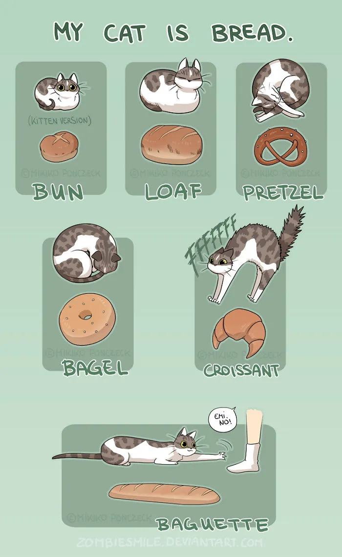 Artist Illustrates Everyday Life With Her Boyfriend And Cat In 54 Adorable Illustrations