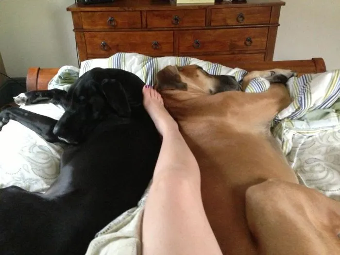 Thanks For Leaving Room For Me, Jerks
