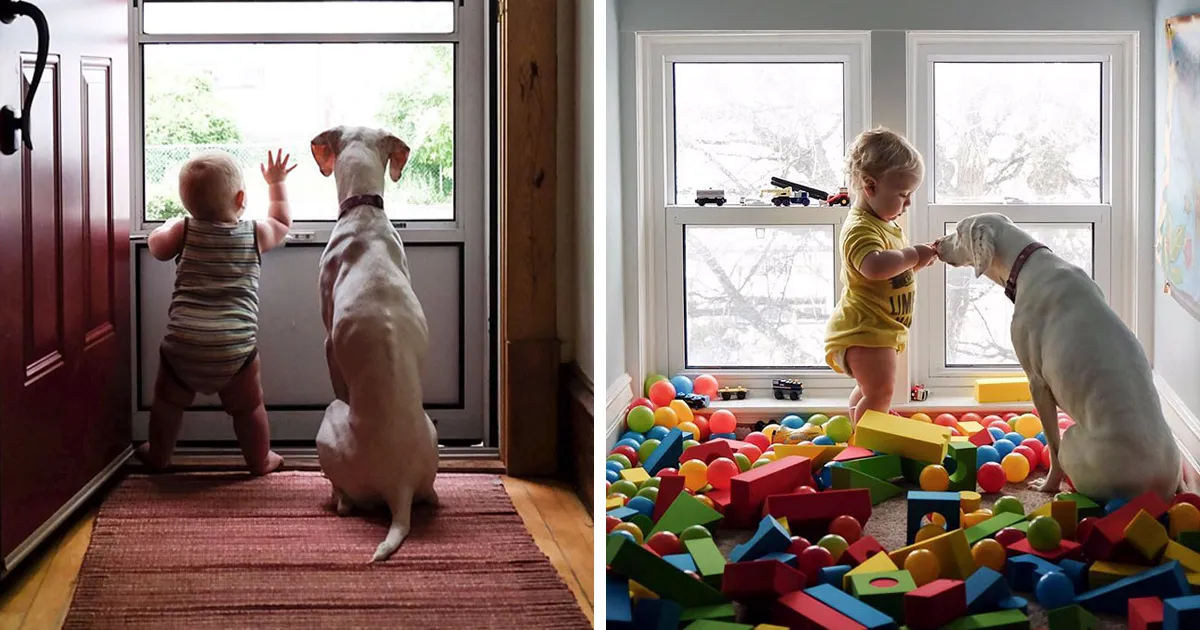 Este perro maltratado teme a todo el mundo menos a este bebé, y sus fotos juntos son adorables