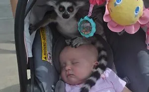 Parents Are Posting Their Most Epic Fails, And It's Hilarious
