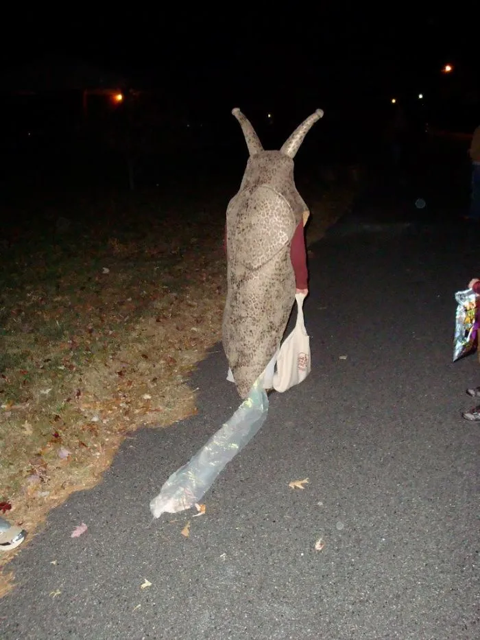 The Snail Trail