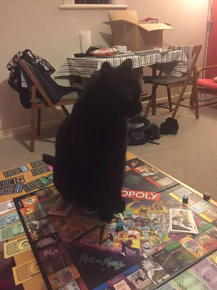 Games Night...