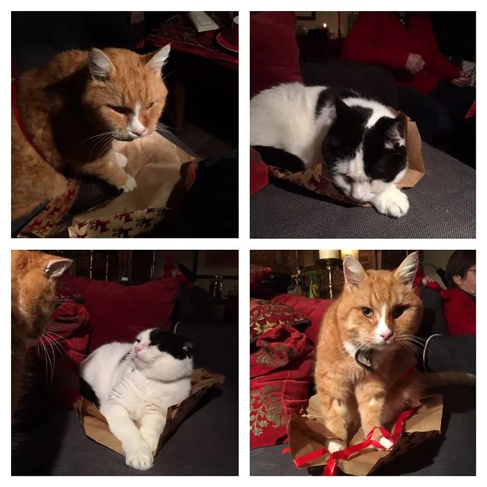It Was Definitely My Present, Not Hers!