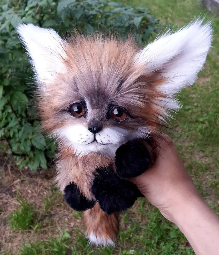 Amazing Warming Tenderness: 20 Furry Puppies, Kittens And Foxcubs Straight From Siberia
