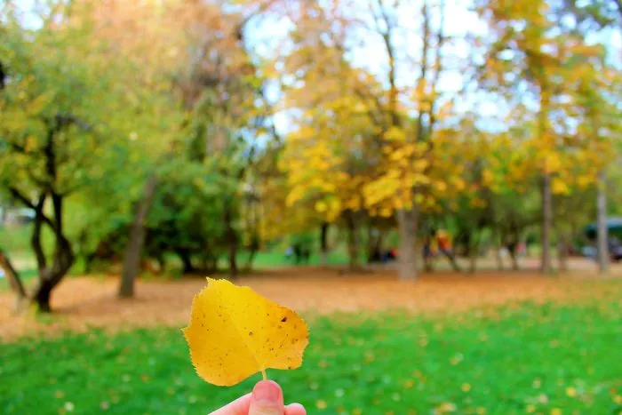 Nature Wears The Colors Of The Spirit