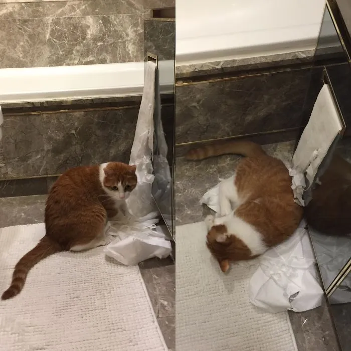 Caught Red Handed...