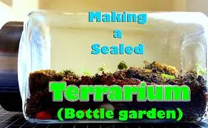 I Made A Bottle Garden (Closed Terrarium) Using A Spice Bottle...