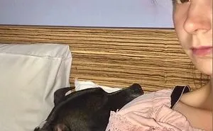 Share Pictures Of Your Pets Being Jerks