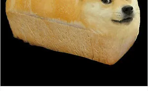 120 Times People Accidentally Googled The Wrong Thing, And The Results Were Hilarious