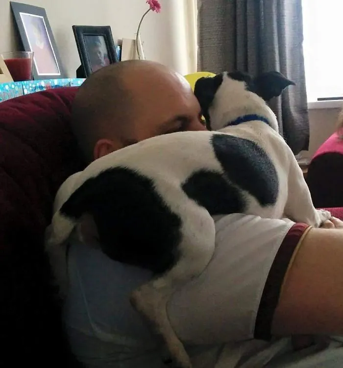 My Dog Is A Jerk. This Is How He Acts If I Try To Watch Tv. It's Why I Drink