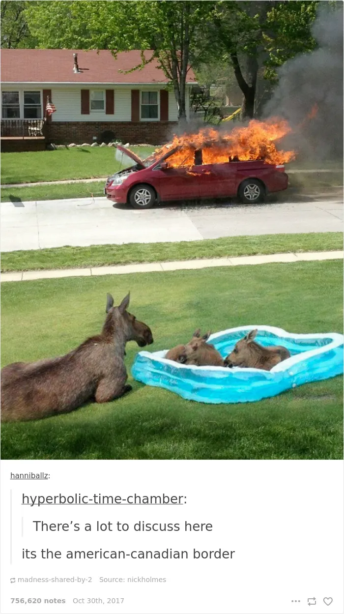 25 Times Canada Roasted America So Well You Can't Even Be Mad