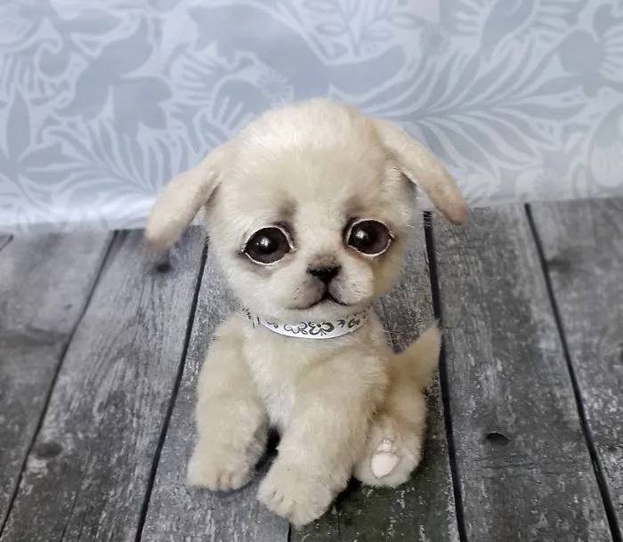 Amazing Warming Tenderness: 20 Furry Puppies, Kittens And Foxcubs Straight From Siberia