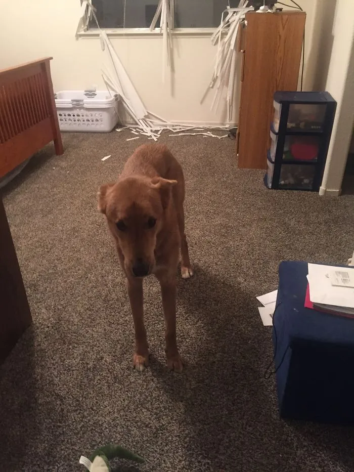 “I Thought I Saw Something”