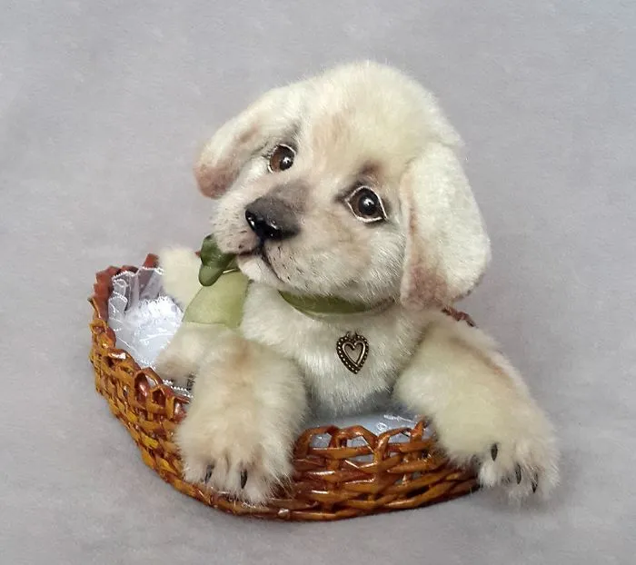 Amazing Warming Tenderness: 20 Furry Puppies, Kittens And Foxcubs Straight From Siberia