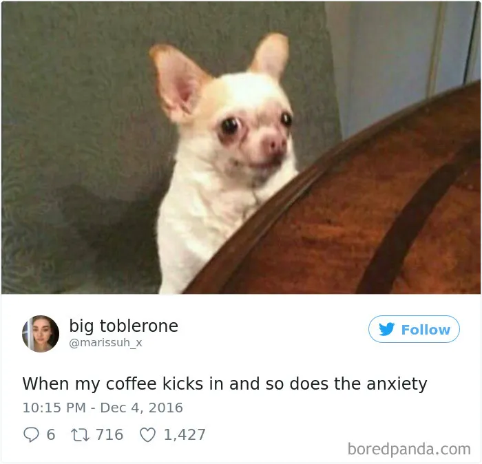 119 Pics About Anxiety That Will Make You Laugh, Then Cry